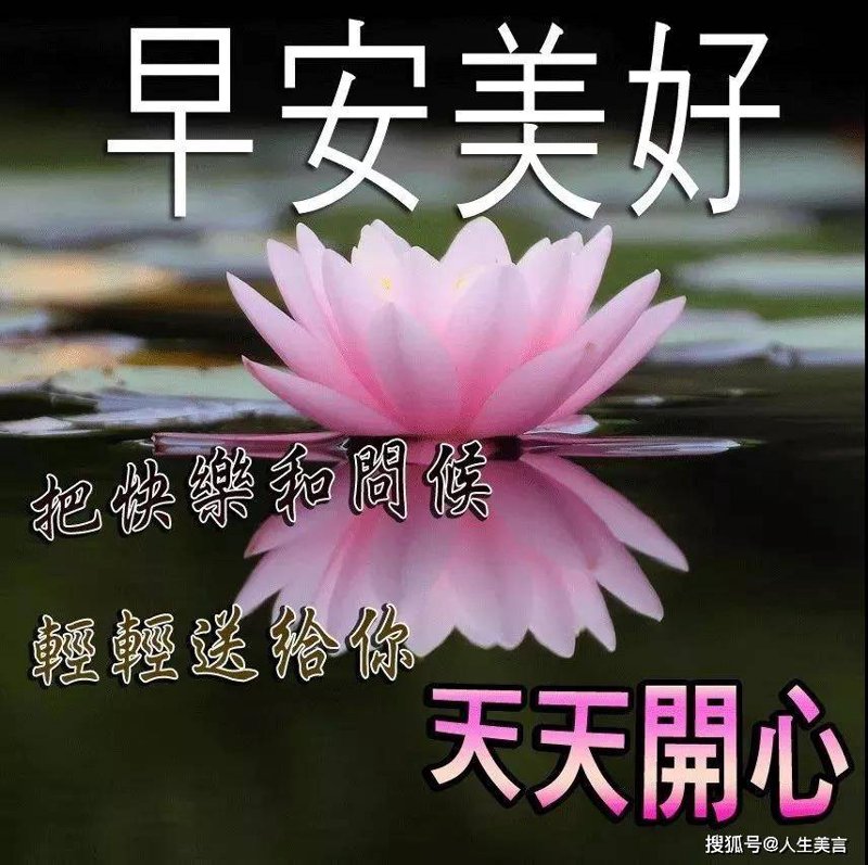 笑口常开，天天开心—语录分享